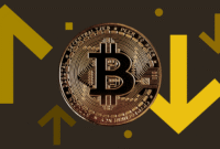 Apa Itu Halving Bitcoin dan Dampaknya pada Harga