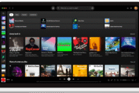 5 Cara Menampilkan Lirik di Spotify dengan Mudah di HP & PC