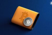 Apa Itu Wallet Bitcoin? Jenis dan Cara Menggunakannya