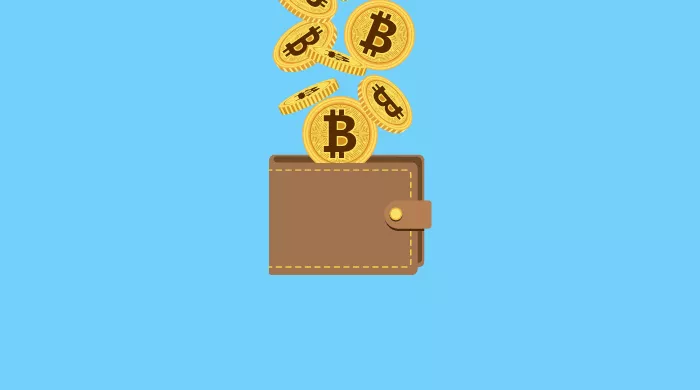 Apa Itu Wallet Bitcoin? Jenis dan Cara Menggunakannya